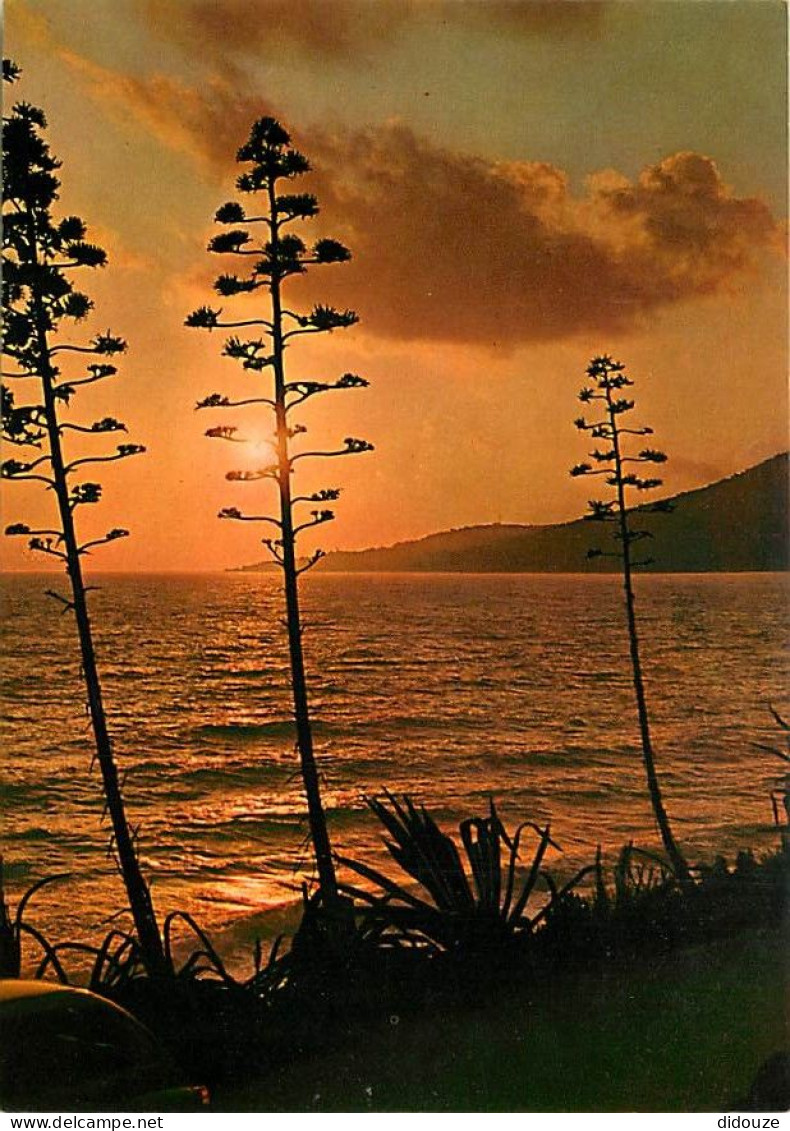 Coucher De Soleil - CPM - Voir Scans Recto-Verso - Contre La Lumière