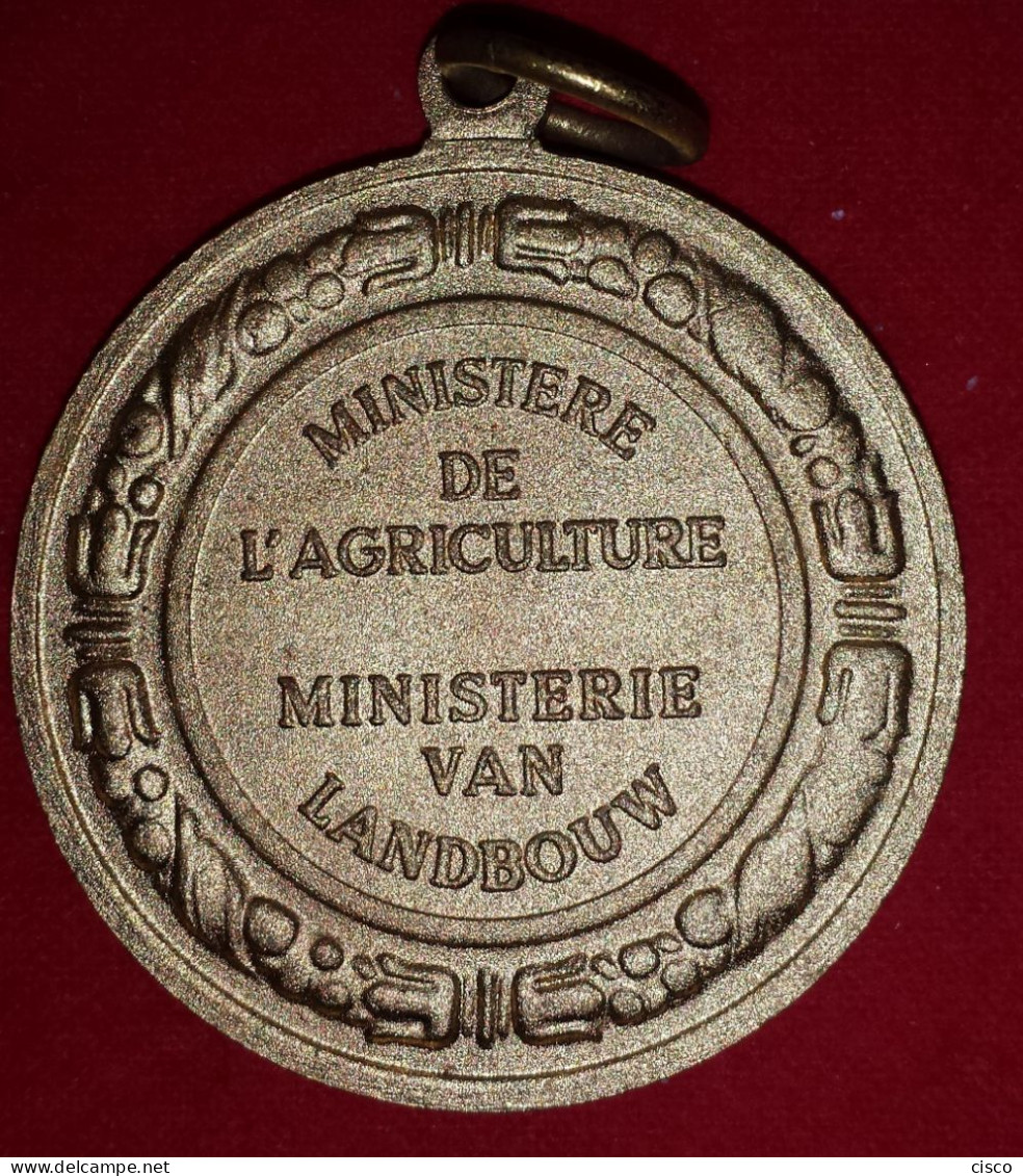 Belgique - 3 Médailles Concours Agricole 3 Têtes De Cochon Ministère Agriculture Ministerie Van Landbouw - Professionnels / De Société