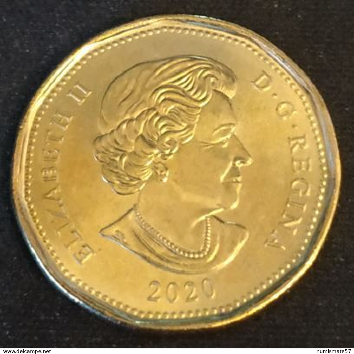 RARE - CANADA - 1 DOLLAR 2020 - Elizabeth II - 4ième Effigie - Micro-gravure Au Laser - KM 1255 - SPL - Canada