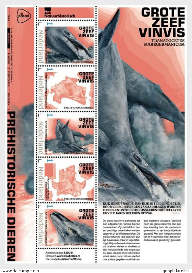 NETHERLANDS 2024 FAUNA. Prehistoric Animals IV. Large Baleen Whale - Fine S/S MNH - Unused Stamps