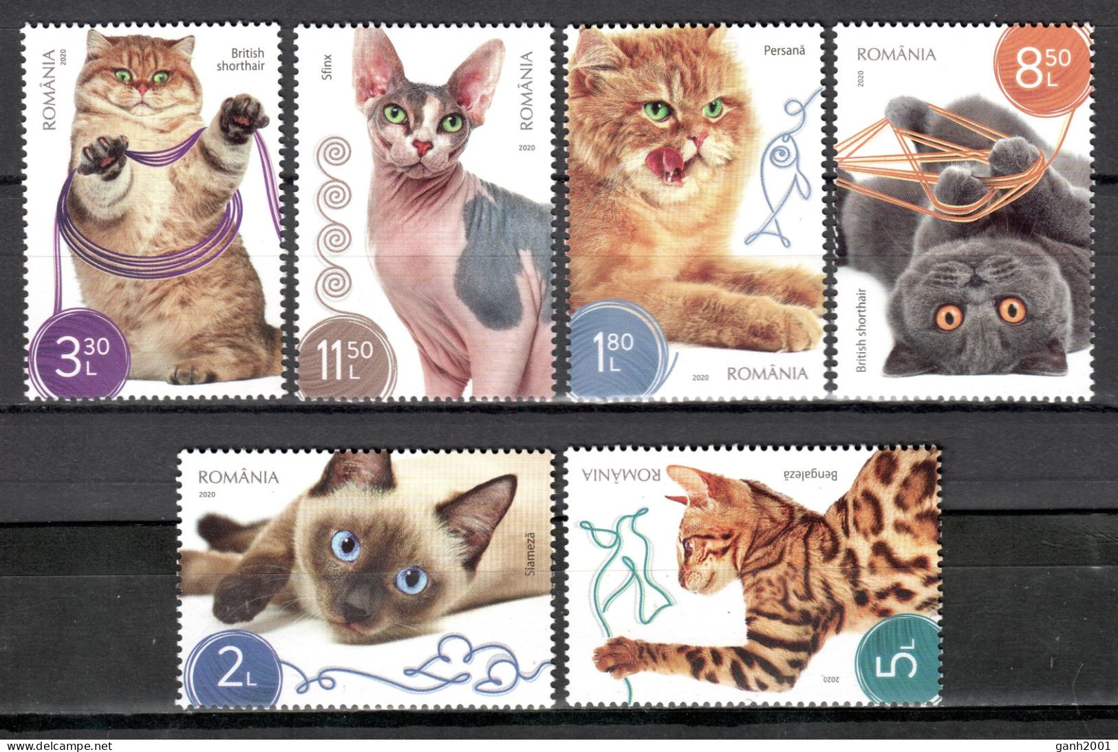 Romania 2020 Rumanía / Cats MNH Gatos Katzen Chats / Cu22103  27-17 - Chats Domestiques