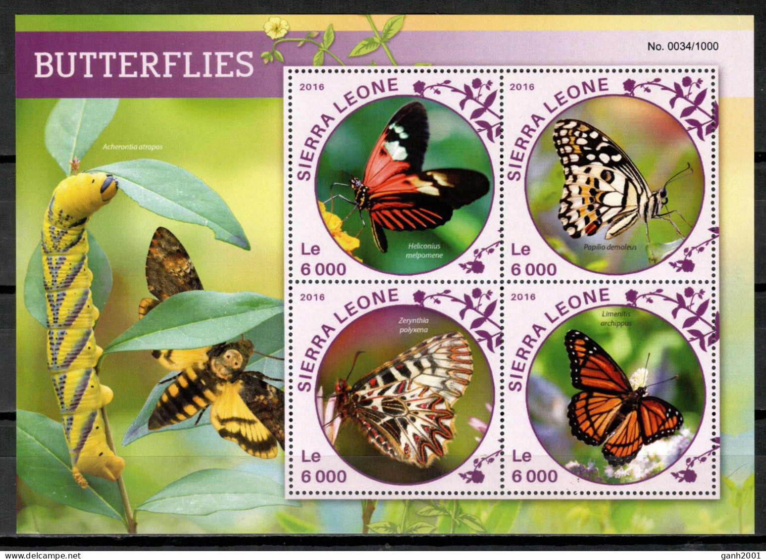 Sierra Leone 2016 / Butterflies MNH Mariposas Papillons Schmetterlinge / Cu21241  24-6 - Vlinders