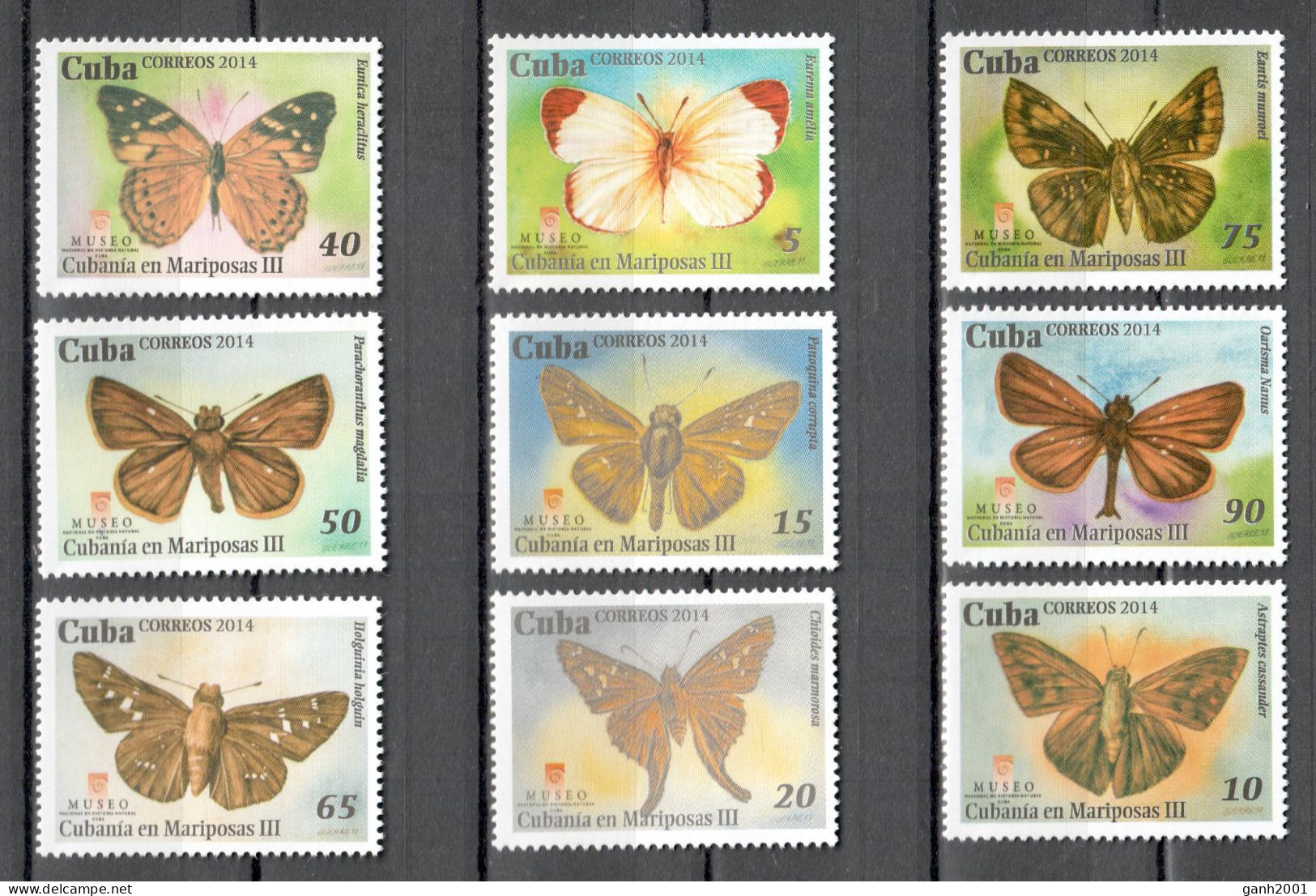 Cuba 2014 / Butterflies MNH Mariposas Papillons Schmetterlinge / Cu21611  C3-1 - Vlinders