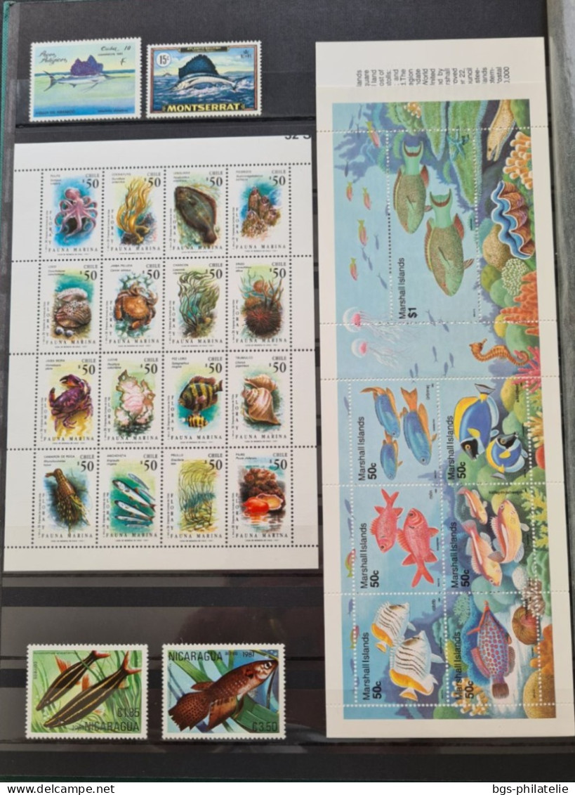 Collection de timbres sur le thème des Poissons.