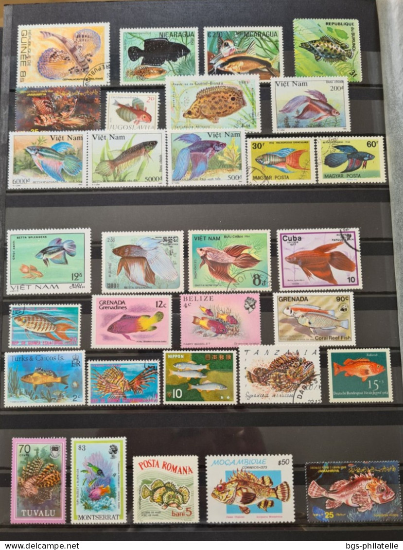 Collection de timbres sur le thème des Poissons.