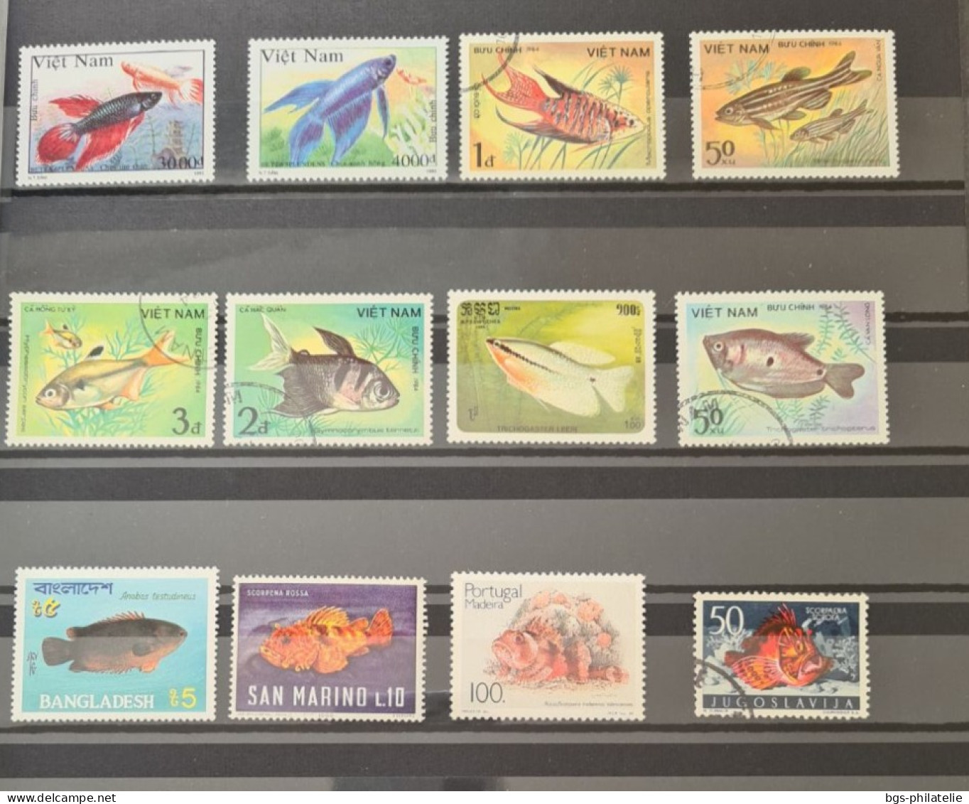 Collection de timbres sur le thème des Poissons.