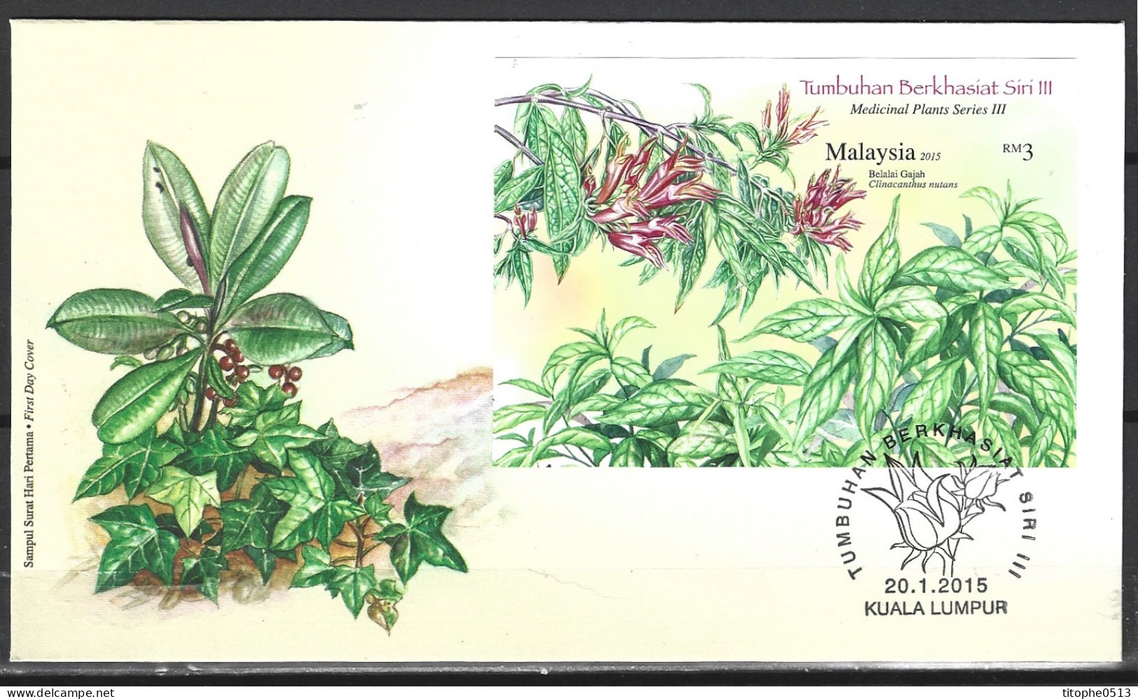 MALAISIE. BF 182a De 2015 Sur Enveloppe 1er Jour. Plantes Médicinales. - Heilpflanzen