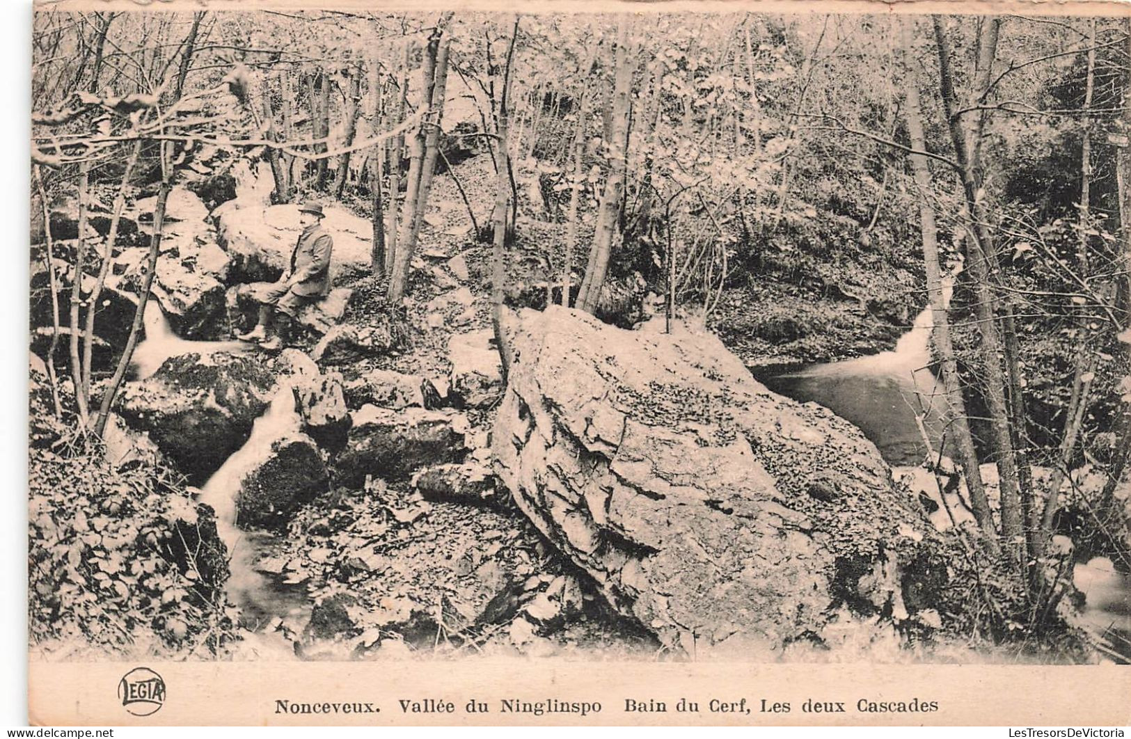 BELGIQUE - Nonceveux - Vue Sur La Vallée Du Ninglinspo - Bain Du Cert - Les Deux Cascades - Carte Postale Ancienne - Aywaille