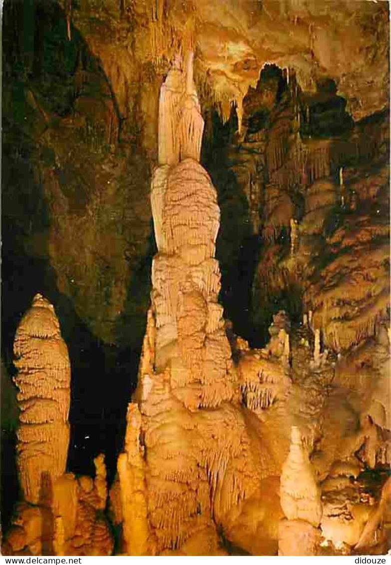 48 - Meyrueis - Grotte De Dargilan - La Salle Rose - Carte Neuve - CPM - Voir Scans Recto-Verso - Meyrueis