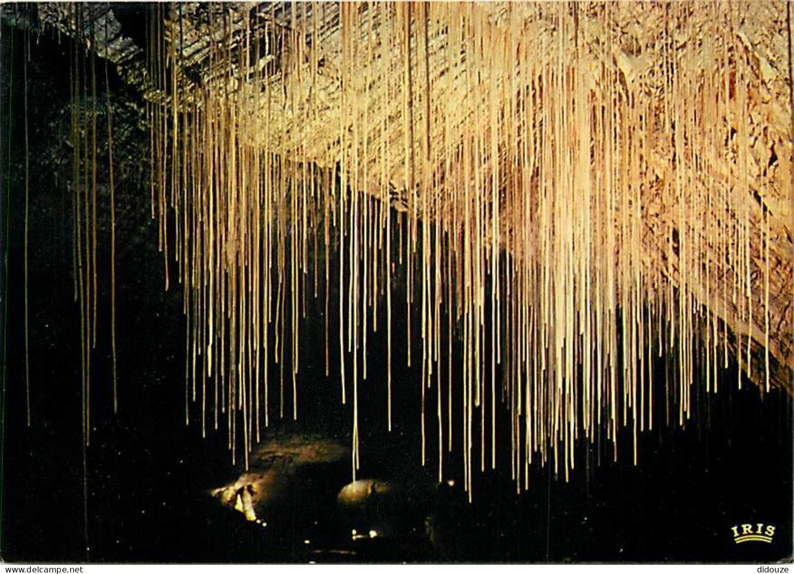 38 - Pont En Royans - Grottes De Choranche - Les Fistuleuses - Spéléologie - Curiosité Géologique - Carte Neuve - CPM -  - Pont-en-Royans