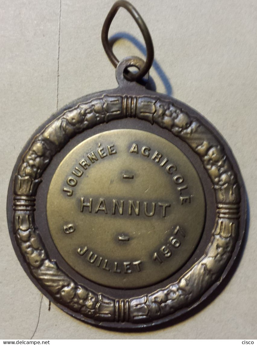 BELGIQUE Médaille Concours Agricole 3 Têtes De Cochon HANNUT   9 Juillet 1967 - Firma's