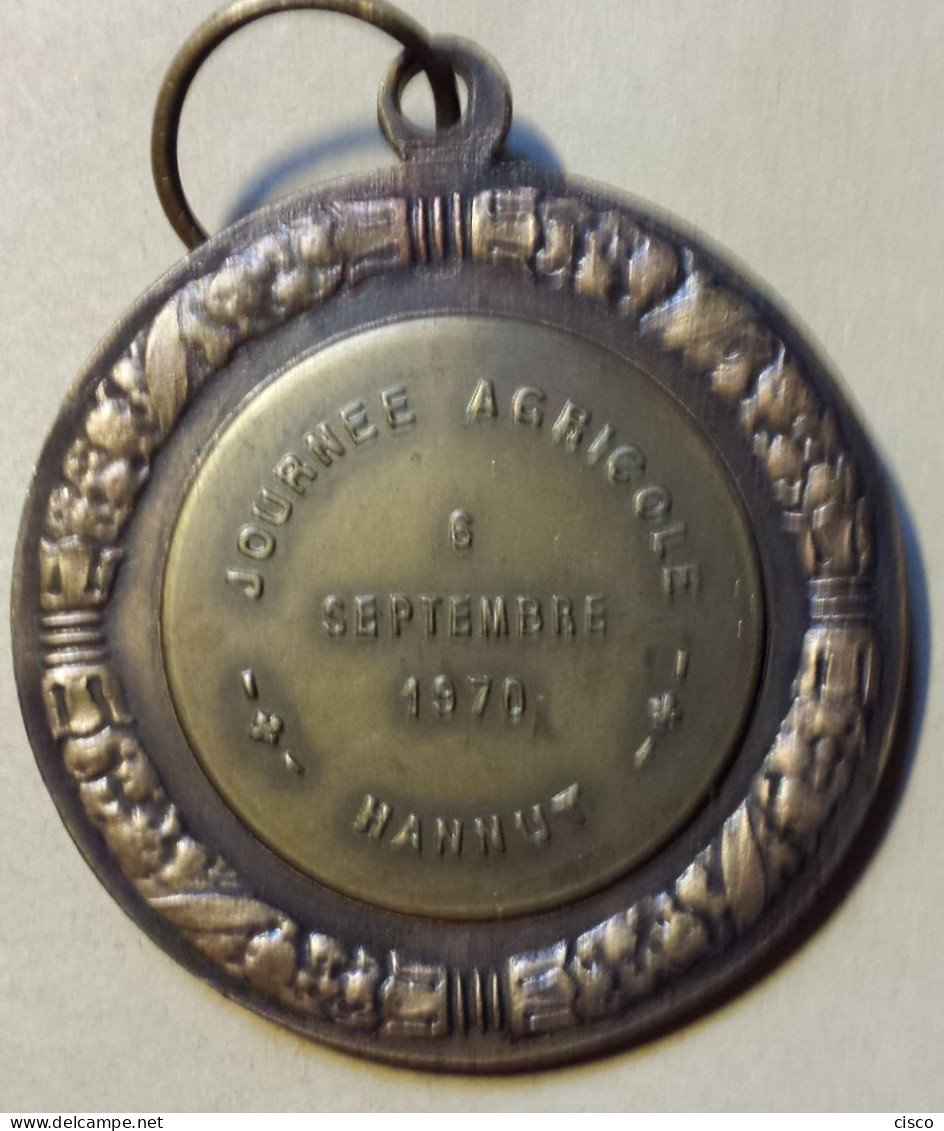 BELGIQUE Médaille Concours Agricole 3 Têtes De Cochon HANNUT   6 Septembre 1970 - Professionnels / De Société