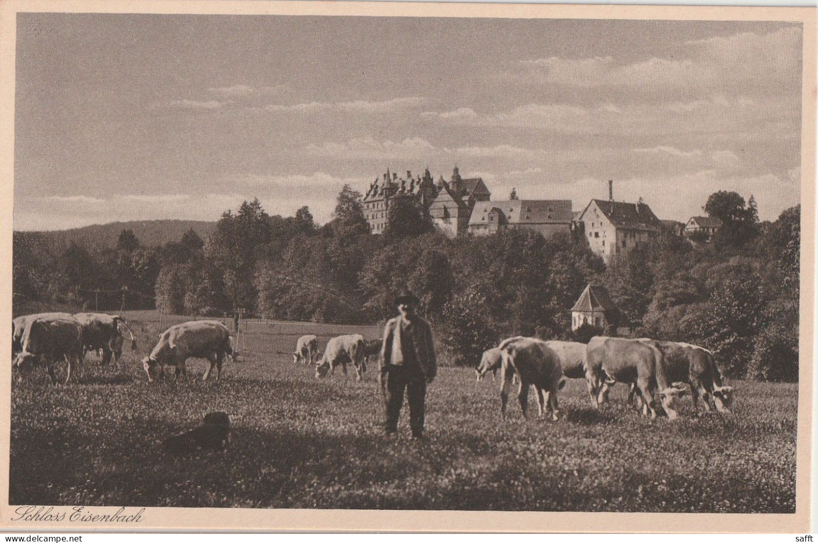 AK Lauterbach, Schloss Eisenbach, Bauer Und Kühe - Lauterbach