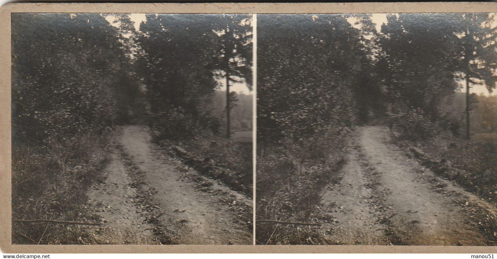 Photo Stéréoscopique - CONDE LES AUTRY : Sentier De Binarville - Stereo-Photographie