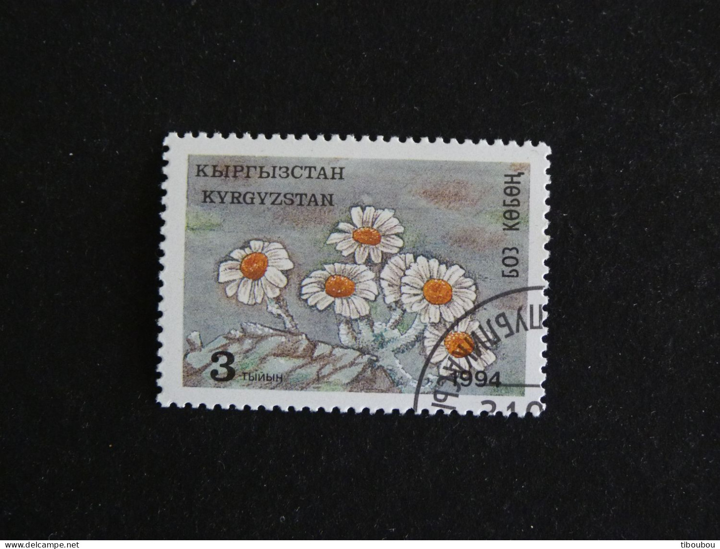 KIRGHIZISTAN KYRGYZSTAN YT 33 OBLITERE - FLORE FLEUR FLOWER BLUME - Kirgisistan