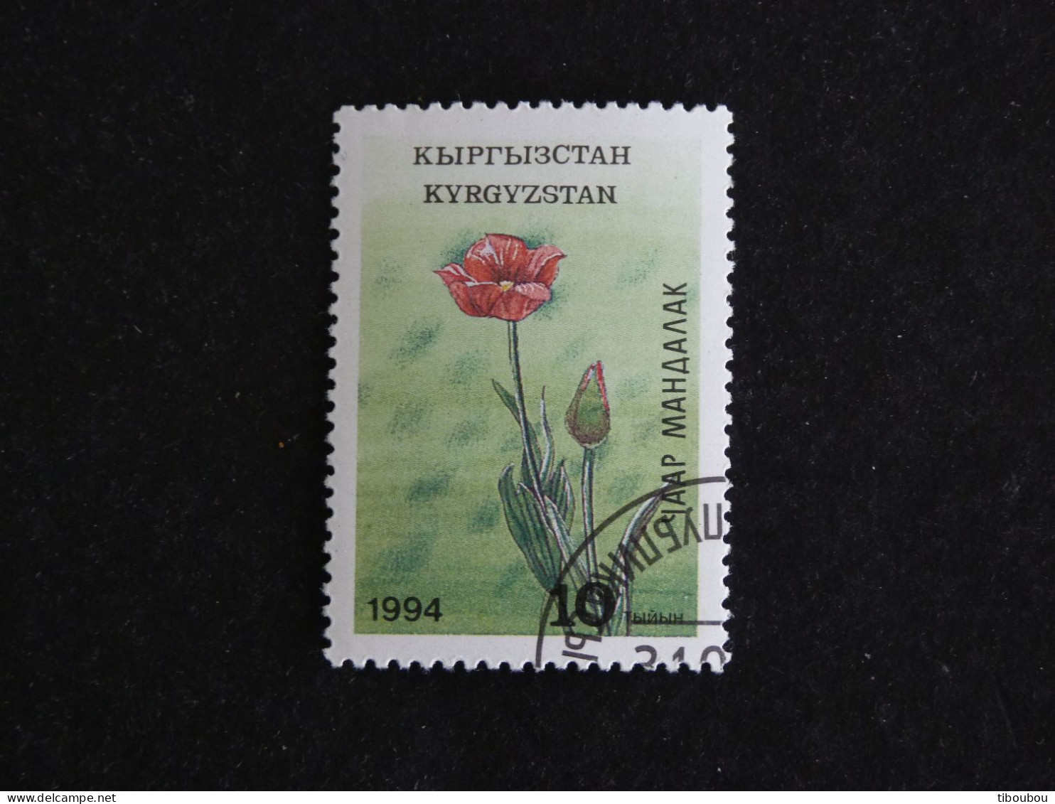 KIRGHIZISTAN KYRGYZSTAN YT 34 OBLITERE - FLORE FLEUR FLOWER BLUME - Kirghizistan