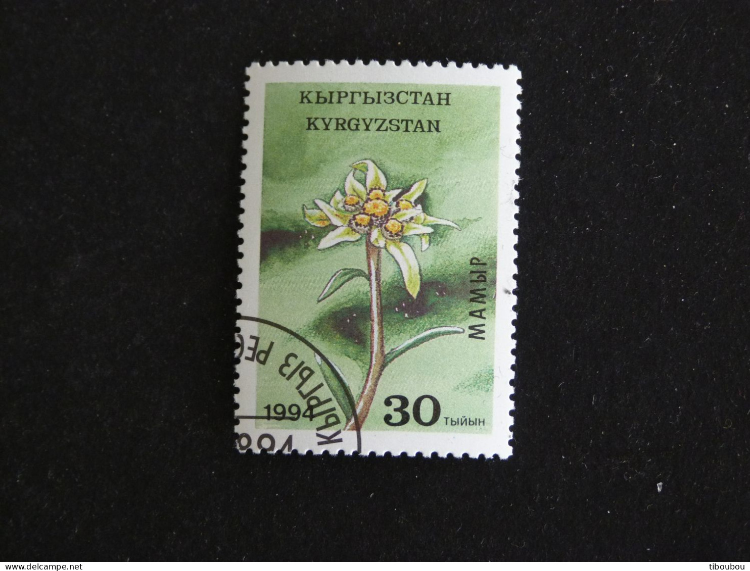 KIRGHIZISTAN KYRGYZSTAN YT 37 OBLITERE - FLORE FLEUR FLOWER BLUME - Kirgisistan