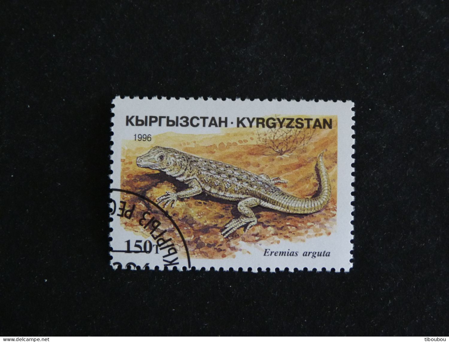 KIRGHIZISTAN KYRGYZSTAN YT 77 OBLITERE - LEZARD REPTILE - Kirgisistan