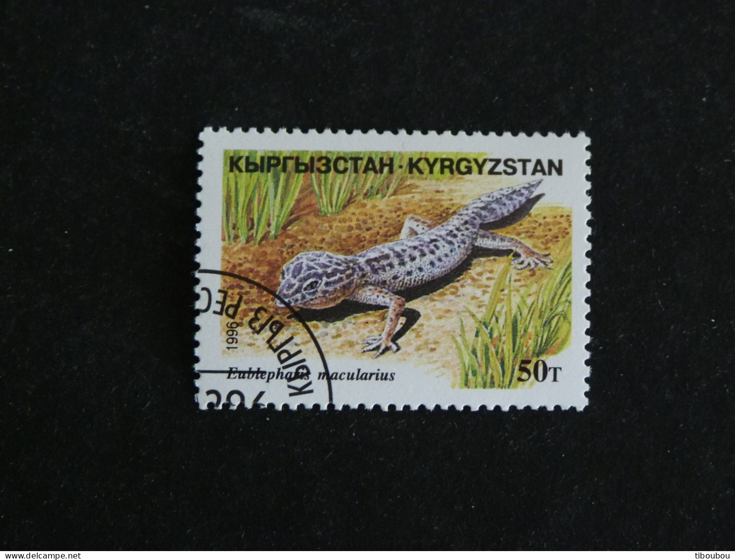 KIRGHIZISTAN KYRGYZSTAN YT 75 OBLITERE - LEZARD REPTILE GECKO LEOPARD - Kirghizistan