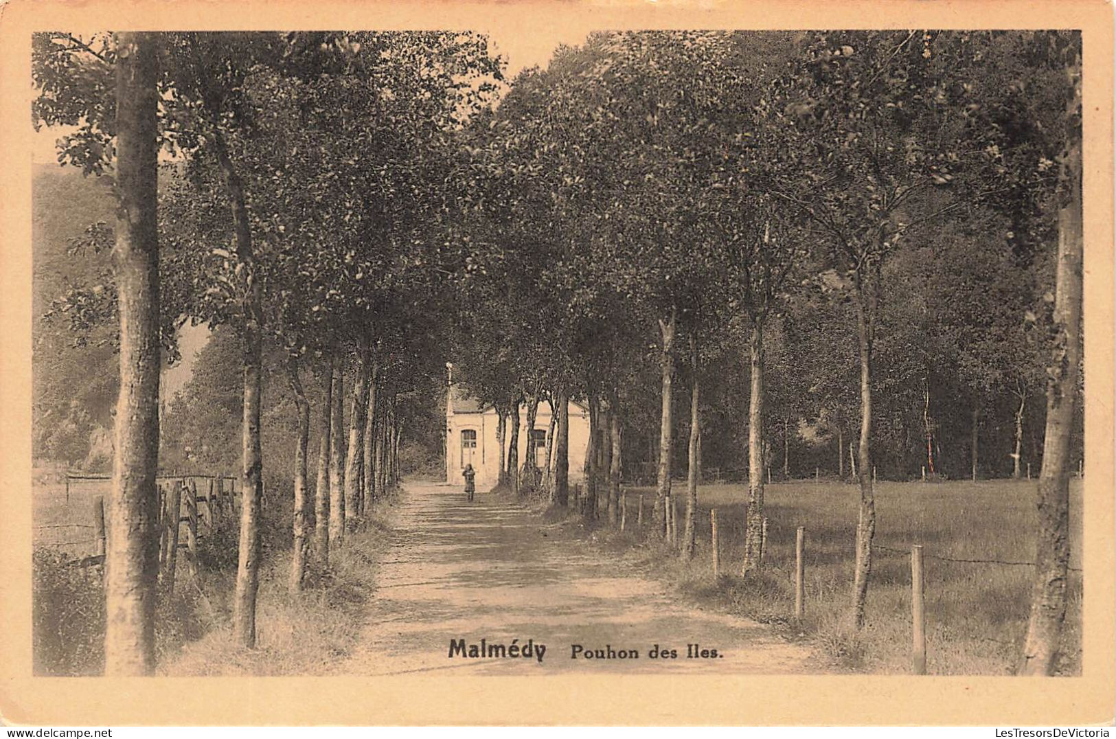 BELGIQUE - Malmédy - Pouhon Des Iles - Carte Postale Ancienne - Malmedy
