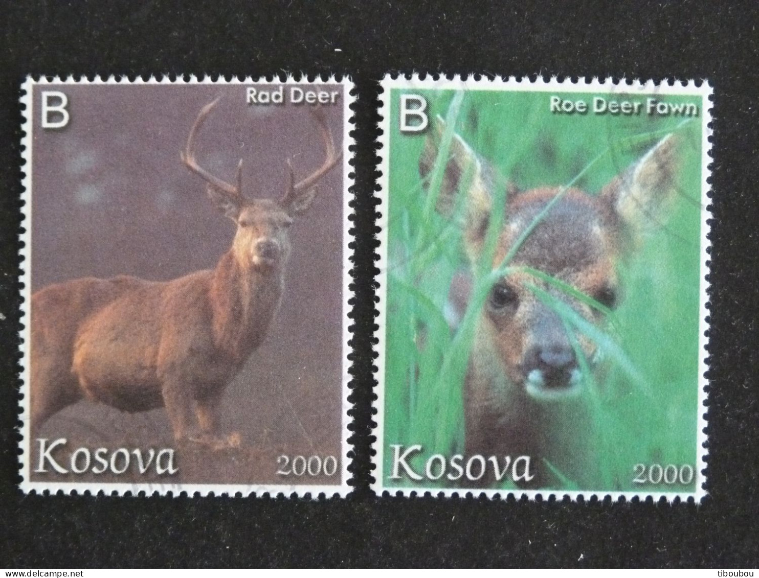 KOSOVO KOSOVA  EMISSION NON OFFICIELLE - CERF DEER STAG ROE DEER CHEVREUIL - Kosovo