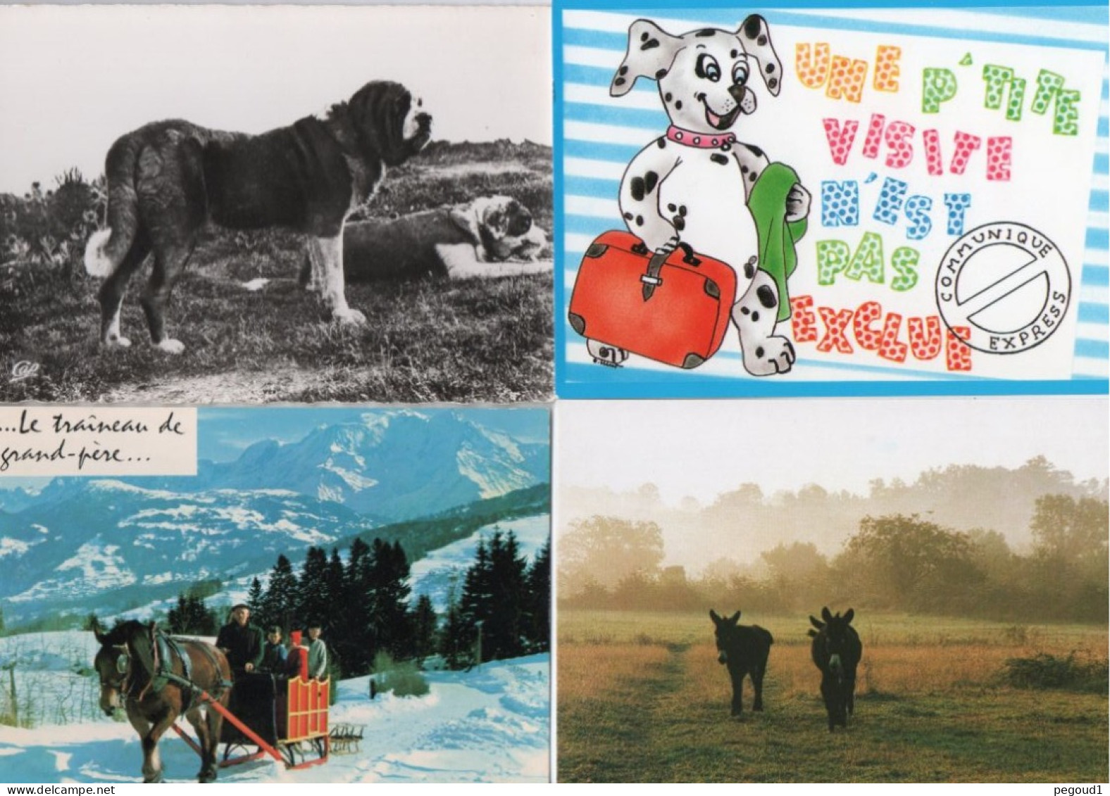 ANIMAL . LOT 57 CARTES POSTALES. LIVRAISON OFFERTE   Achat Immédiat - 5 - 99 Cartoline