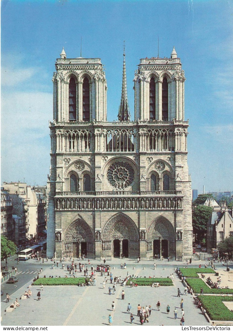 FRANCE - Paris - Cathédrale Notre Dame - Vue Depuis L'île Saint Louis - Carte Postale - Notre Dame De Paris