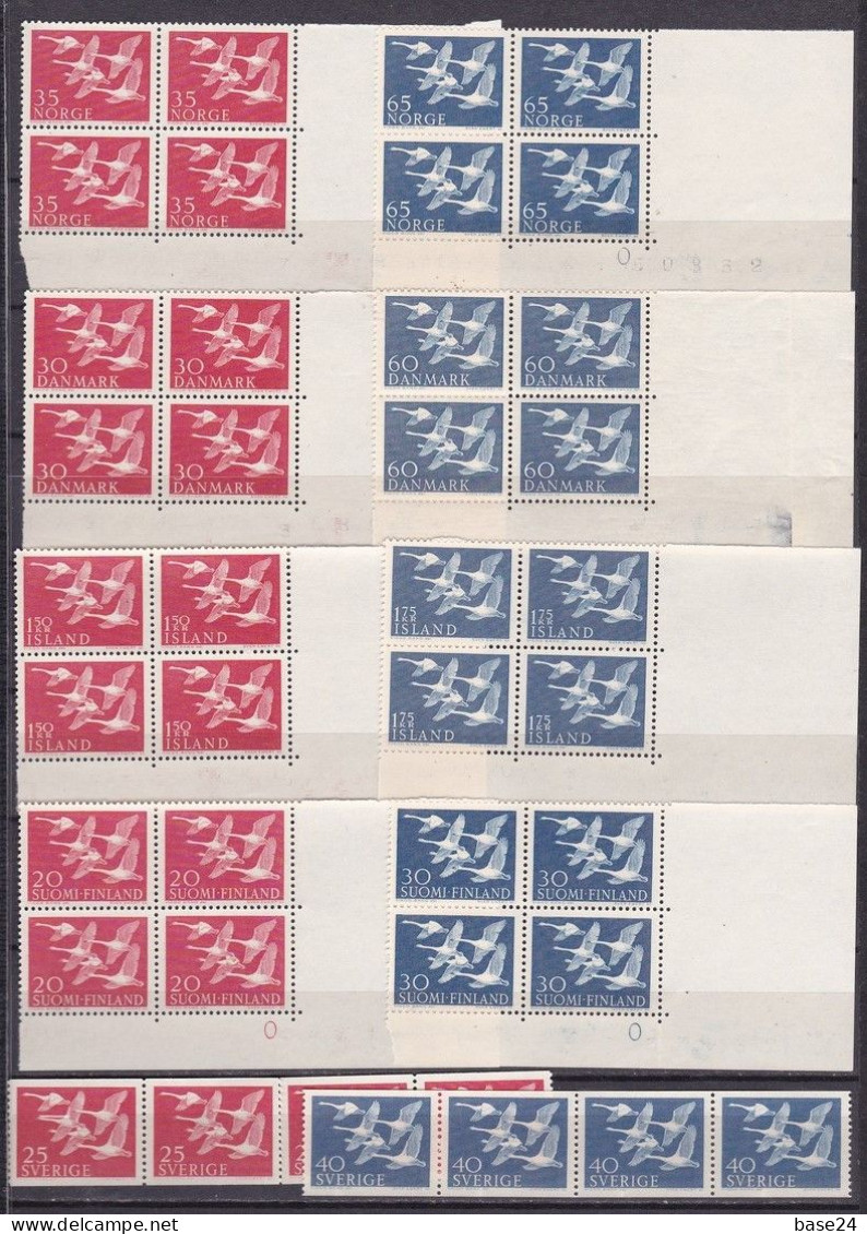 1956 Norden GIRI DEL NORD - CIGNI  4 Giri Di 10 Valori : Danmark Island Norge Sverige Finland MNH** SWANS Quartine + Str - Gezamelijke Uitgaven