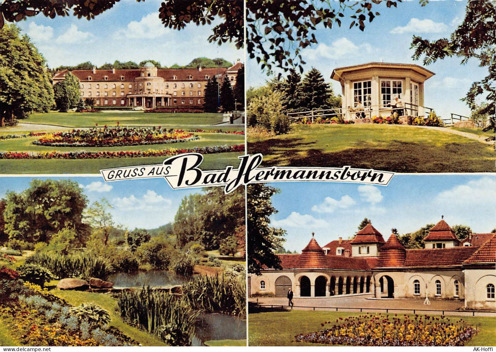 Bad Hermannsborn GmbH, Kurklinik, Bei Bad Driburg Mehrbildkarte - Bad Driburg