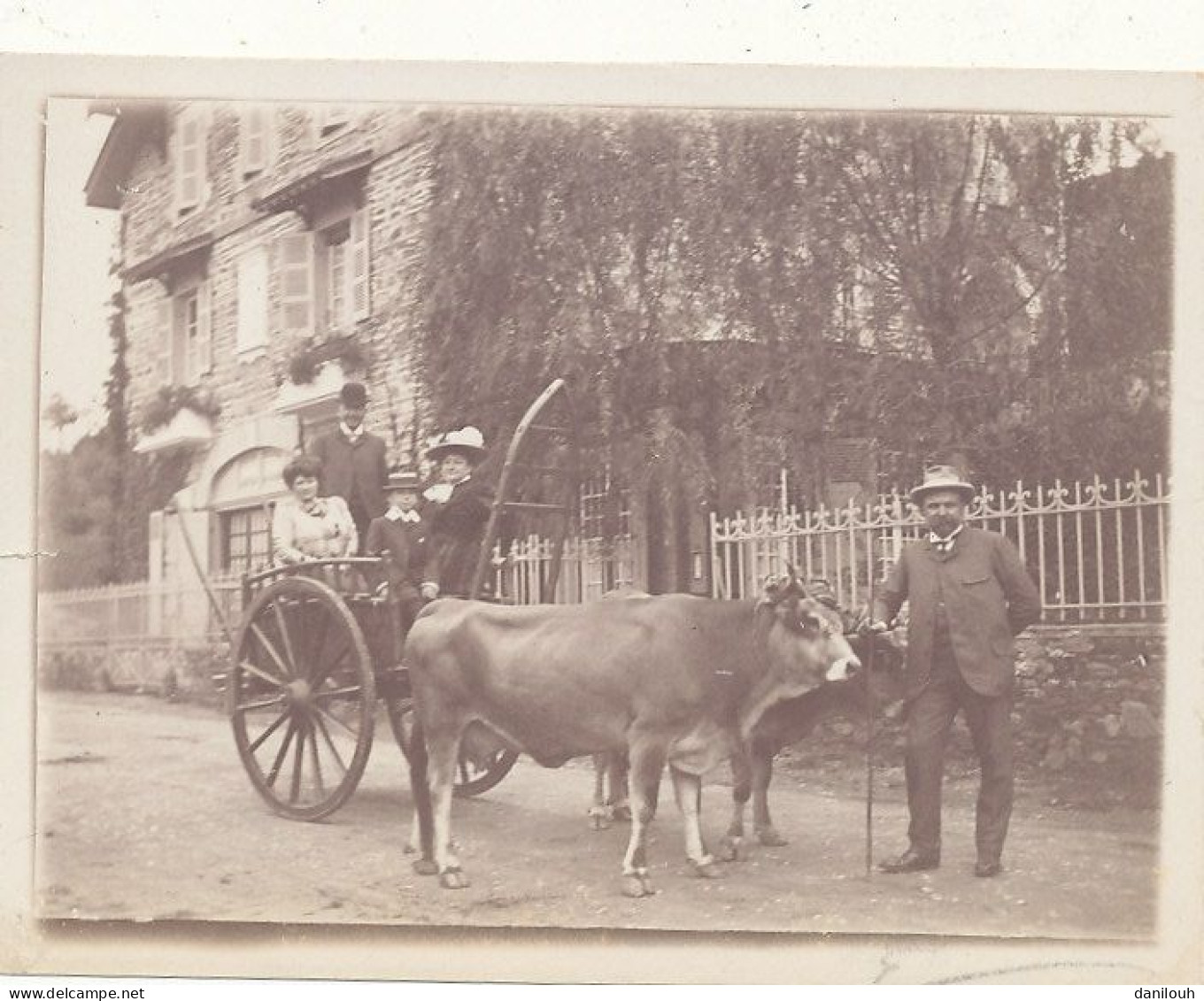 ATTELAGE DE BŒUFS DEVANT VILLA Photo 11,5 X 2 - Equipos