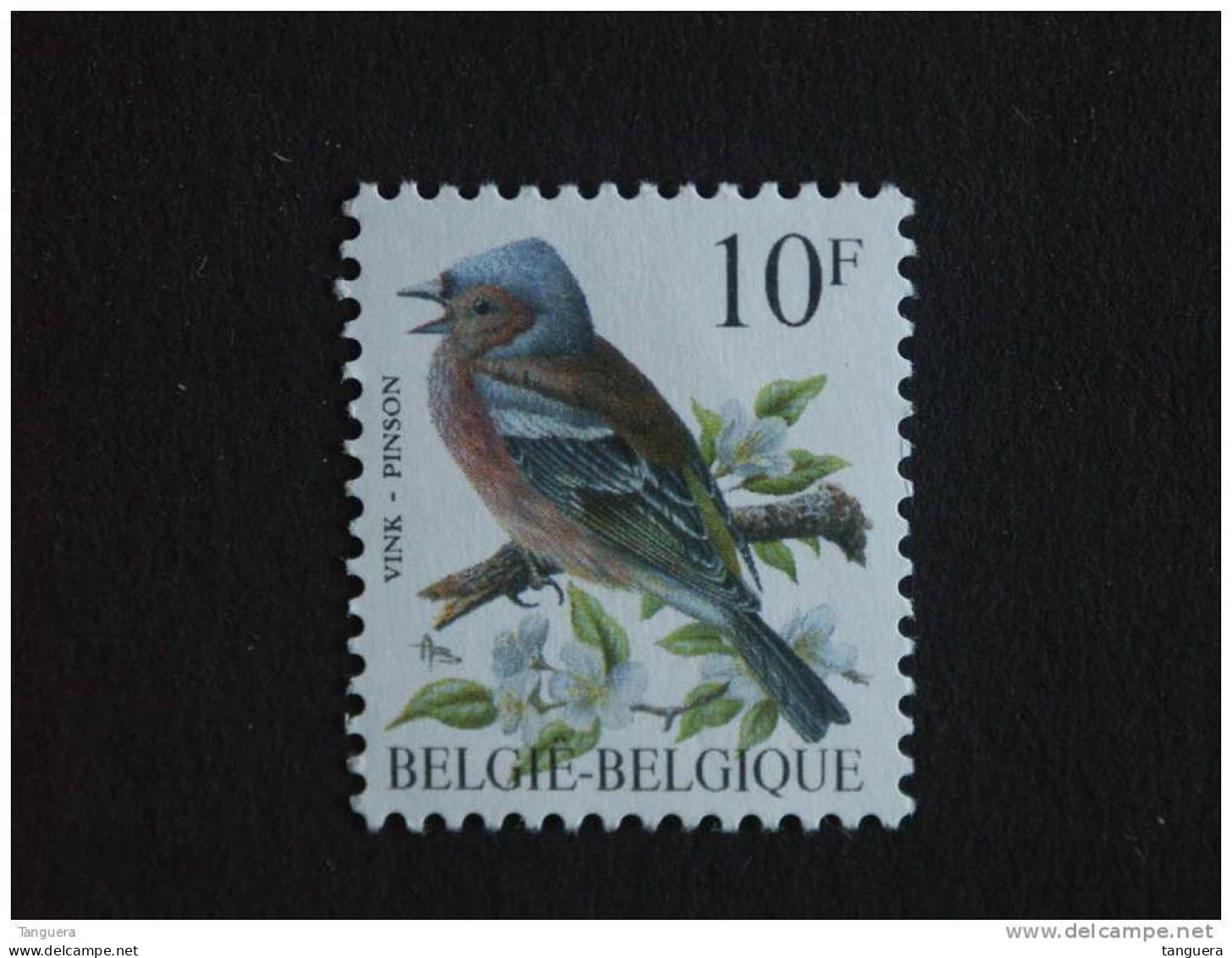 België Belgique Belgium 1990 Vogels Oiseaux Buzin Vink Pinson 2351 Yv 2350 MNH ** - 1985-.. Vögel (Buzin)