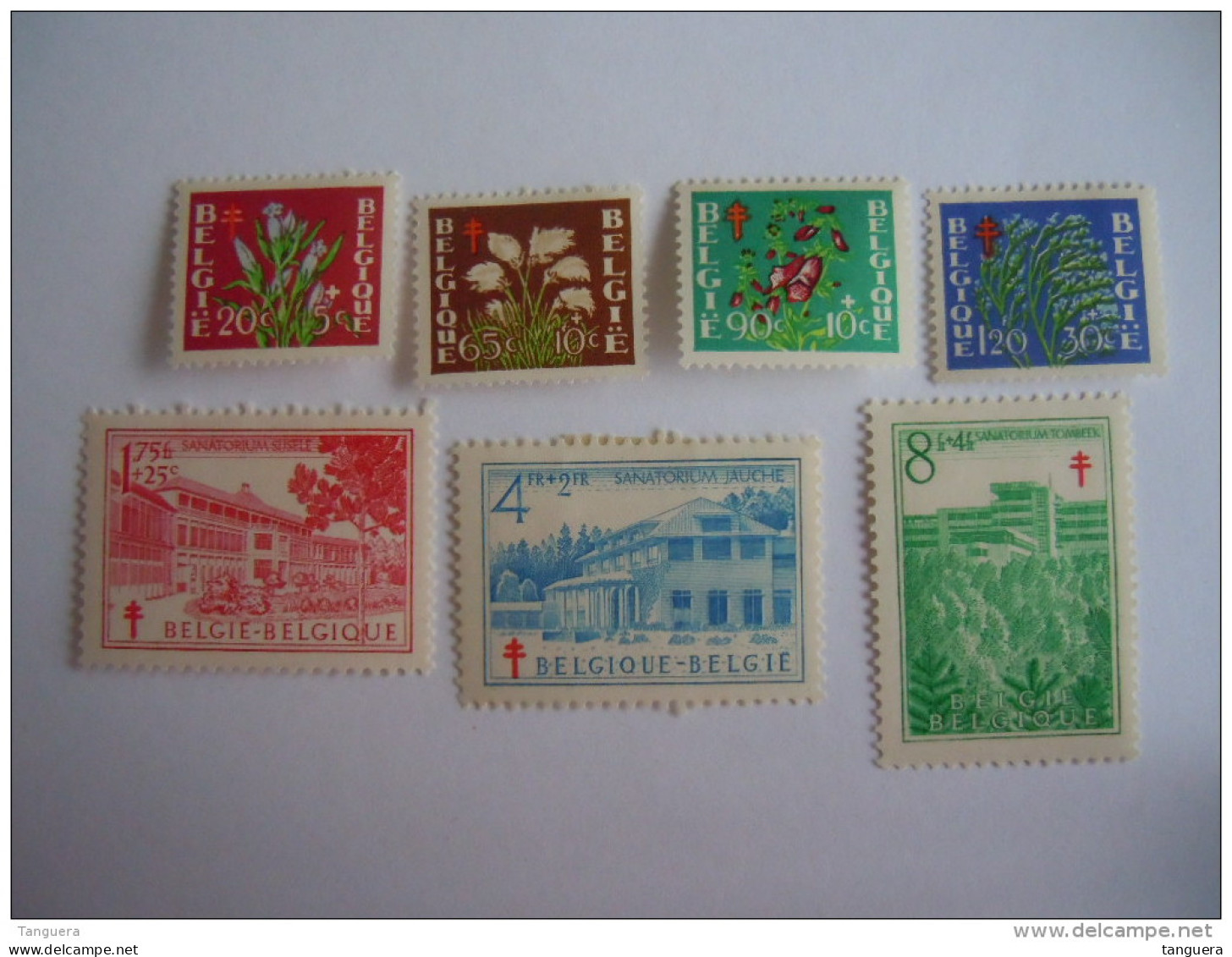 België Belgique 1950 Au Profit Des Oeuvres Antituberculeuses Fleurs Sanatoriia Bloemen 834-840 MH * - Unused Stamps