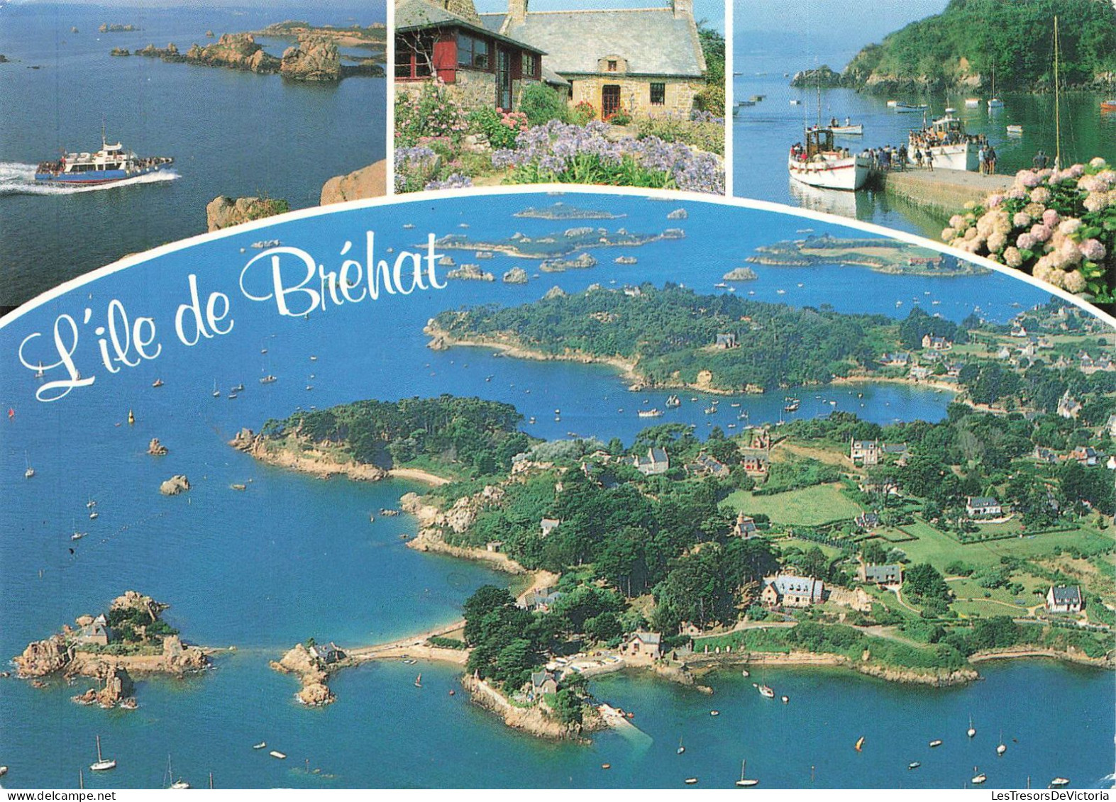 FRANCE - Ile De Bréhat - L'île Des Fleurs Et Des Rochers Roses - Carte Postale - Ile De Bréhat