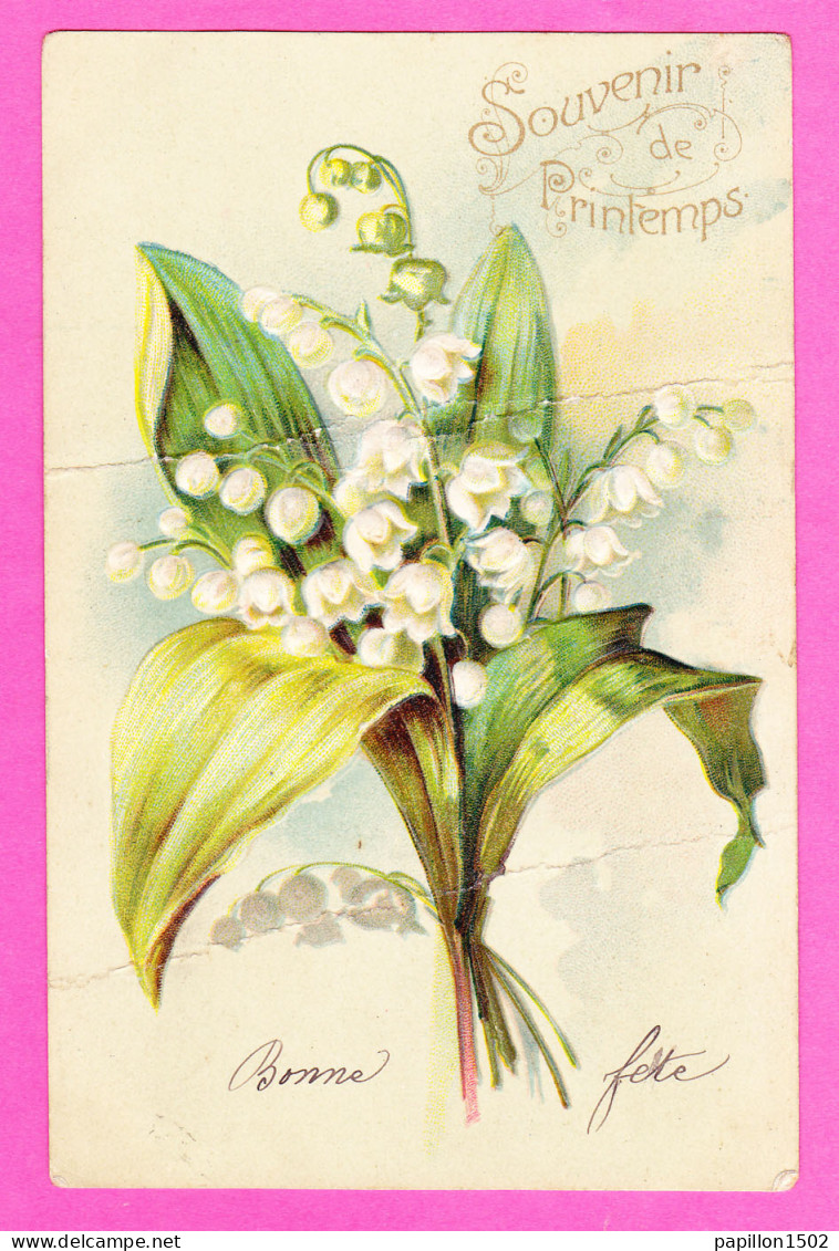 Fant-207PH33 Carte Gaufrée, Souvenir De Printemps, Bouquet De Muguet En Relief, Cpa Précurseur - Autres & Non Classés