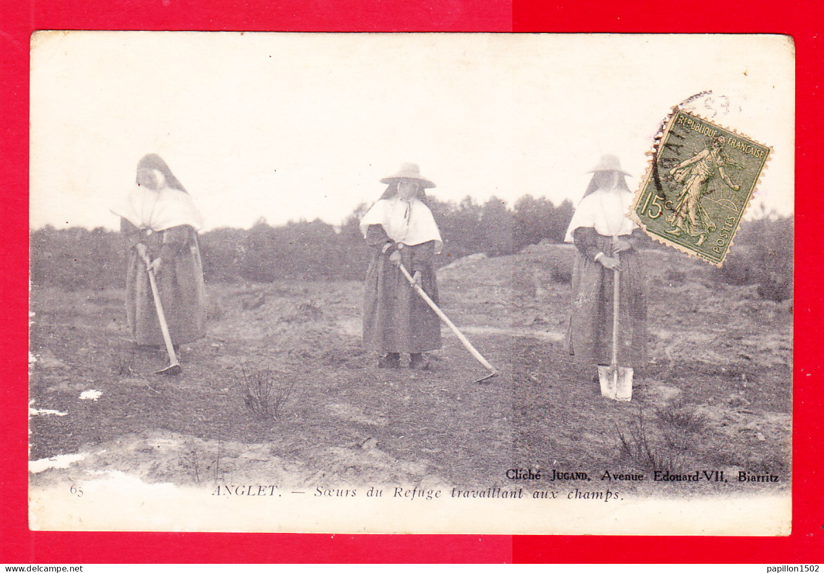 F-64-Anglet-331PA1  Les Soeurs Du Refuge Travaillant Aux Champs, Cpa  - Anglet