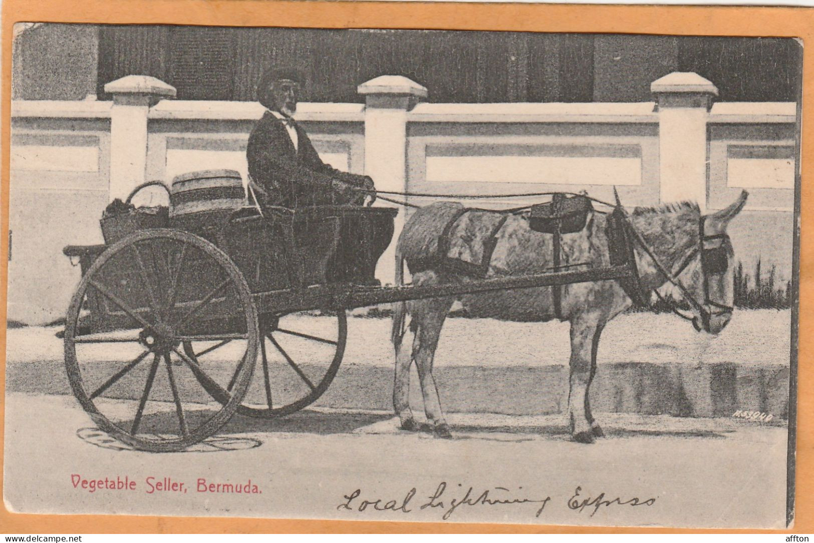 Bermuda 1906 Postcard - Bermudes