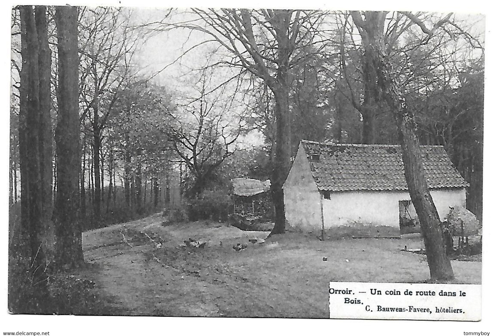 CPA Orroir, Un Coin De Route Dans Le Bois - Kluisbergen