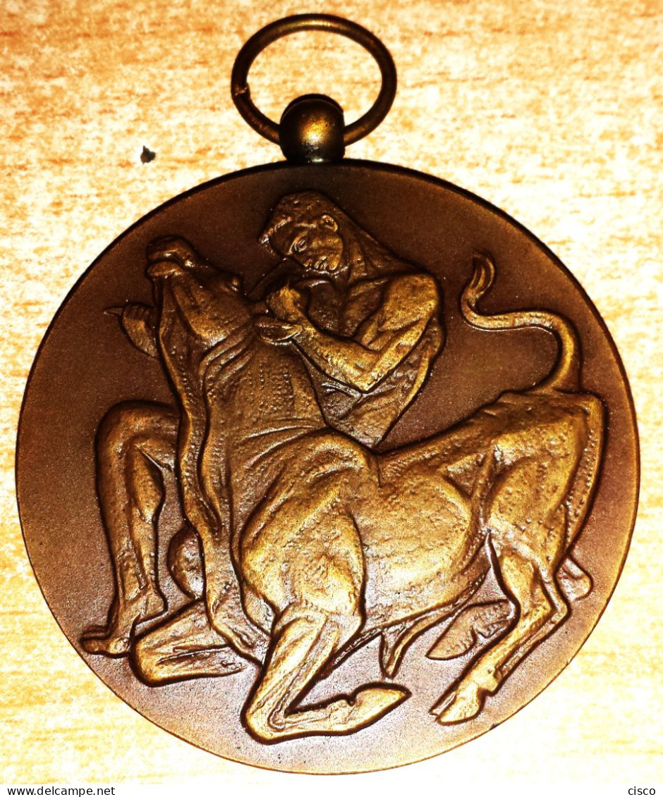 Médaille Art Deco  Concours National De Bétail - ATH 1958 Hercule Terrassant Le Taureau Hainaut Au Travail - Firma's