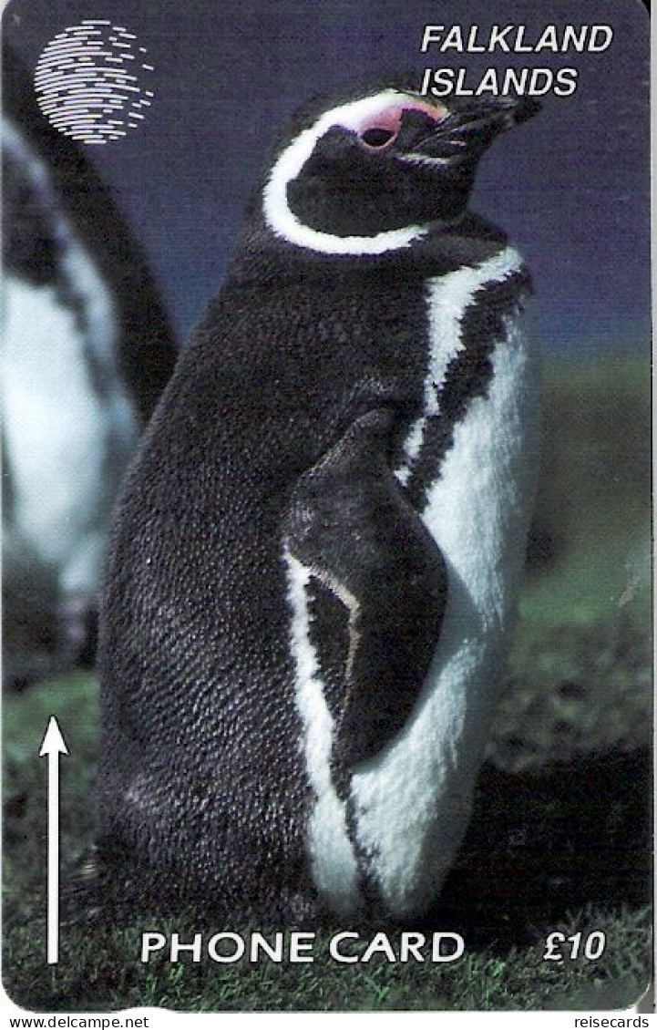 Falkland Islands: Penguin - Islas Malvinas