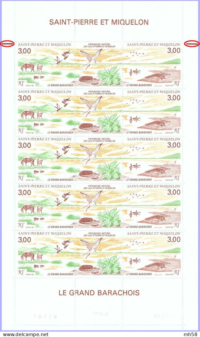 SPM ST PIERRE MIQUELON 1988 - Feuille Date 25.11.87 De 5 Paires N° 485A Neuf ** - 3f00 Grand Barachois - Unused Stamps