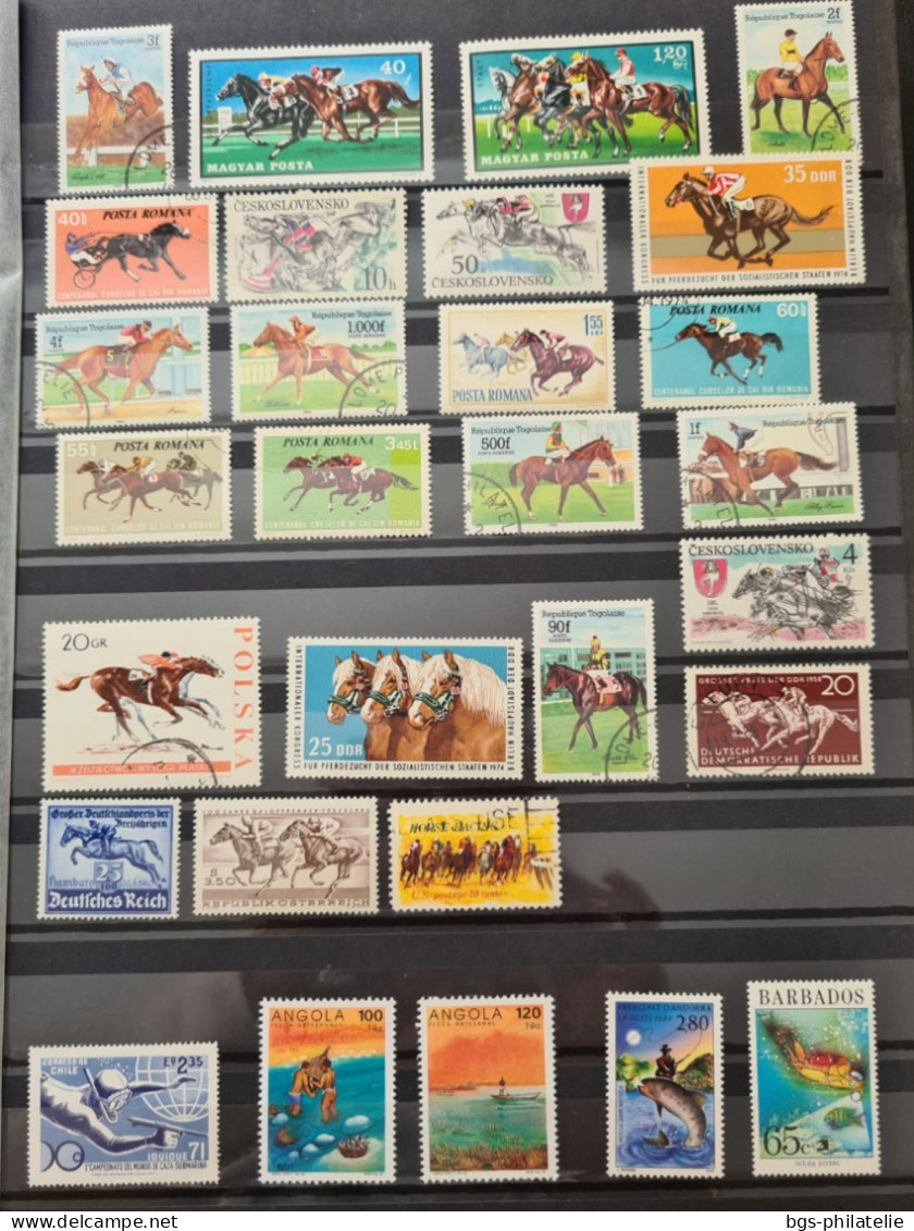 Collection De Timbres Sur Le Thème Du Sport. - Collections (sans Albums)