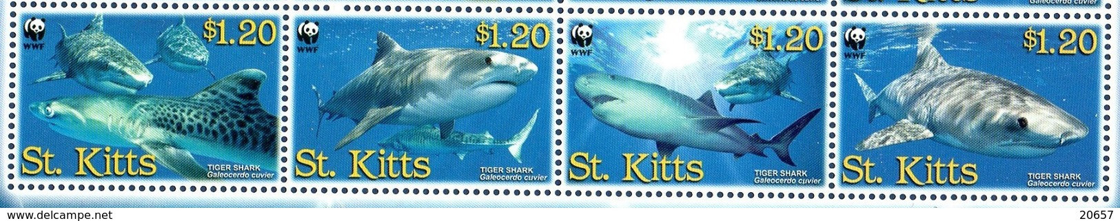 Saint Christophe St Kitts 1296/99 Requins Wwf - Unused Stamps