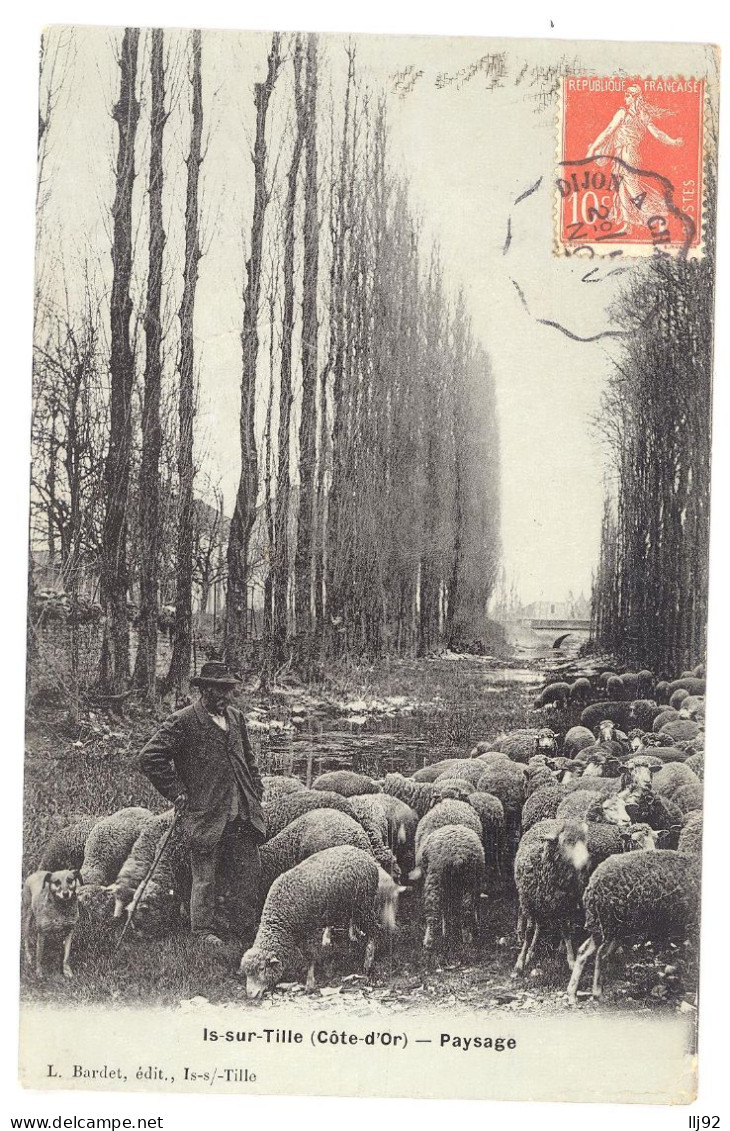 CPA 21 - IS SUR TILLE (Côte D'Or) - Edit. Bardet - Paysage - Berger Et Son Troupeau De Moutons - Papier Brillant - Is Sur Tille