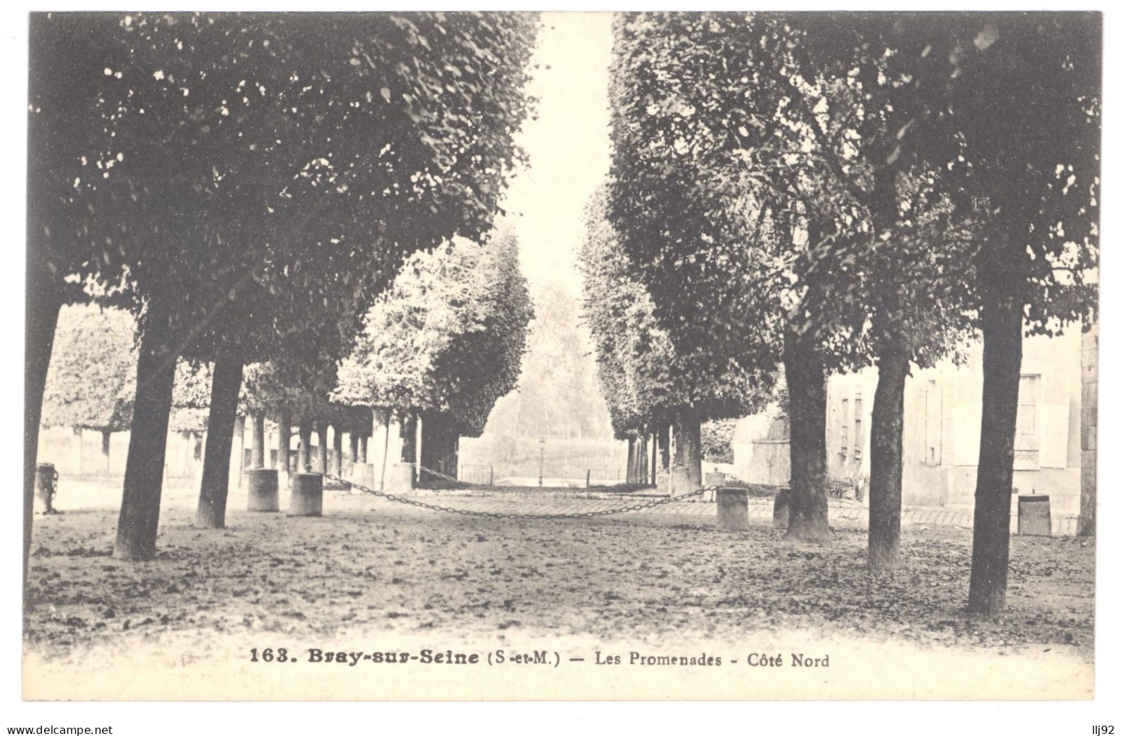 CPA 77 - BRAY SUR SEINE (Seine Et Marne) - 163. Les Promenades - Côté Nord - Bray Sur Seine
