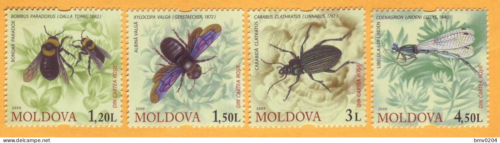 2009 Moldova Moldavie Moldau Insects. Bees, Flies, Beetles 4v Mint - Moldavie