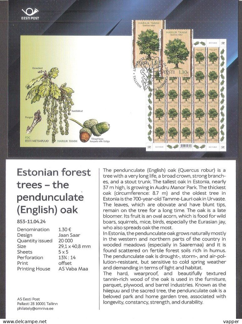 Forest Trees – Oak Estonia 2024 Stamp Presentation Card (eng) Mi 1101 - Estland