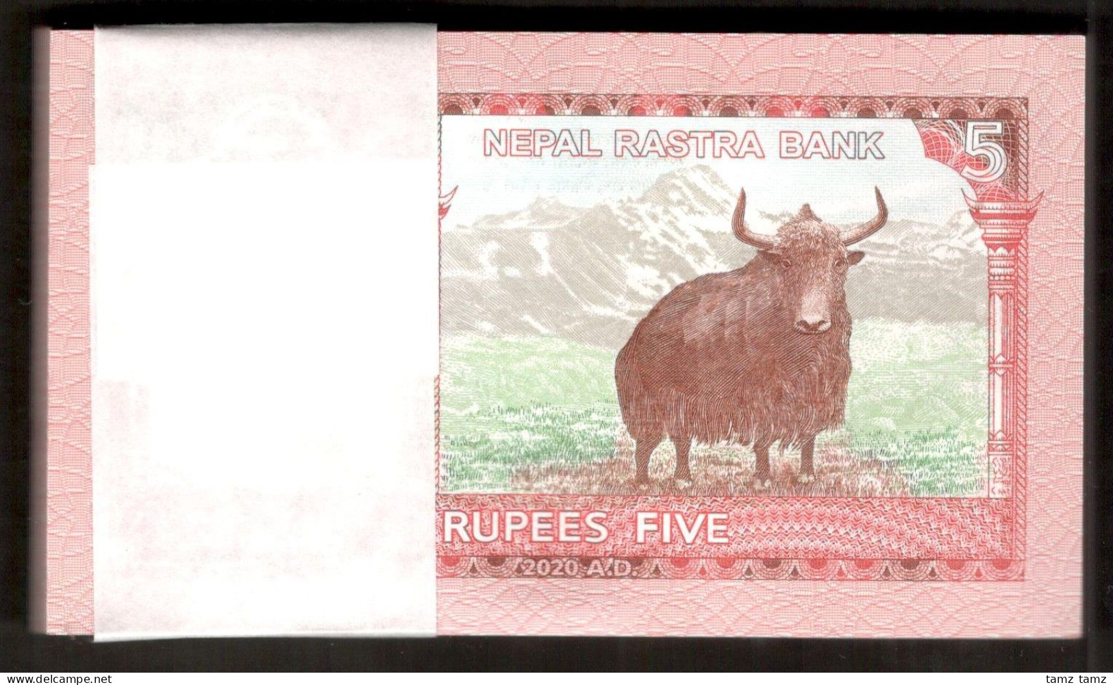 Lot 100 Pcs 1 Bundle Nepal 5 Rupees Yak P-76 2020 UNC Taken From Brick - Nepal