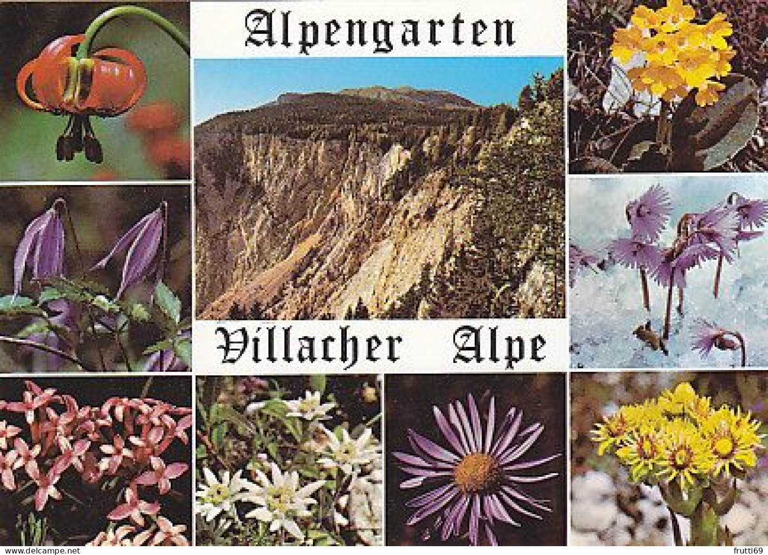 AK 212393 AUSTRIA - Alpengarten Villacher Alpe - Villach