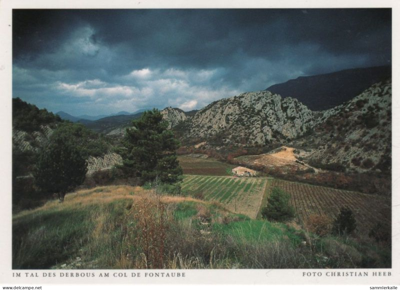 9000817 - Provence - Frankreich - Am Col De Fontaube - Provence-Alpes-Côte D'Azur