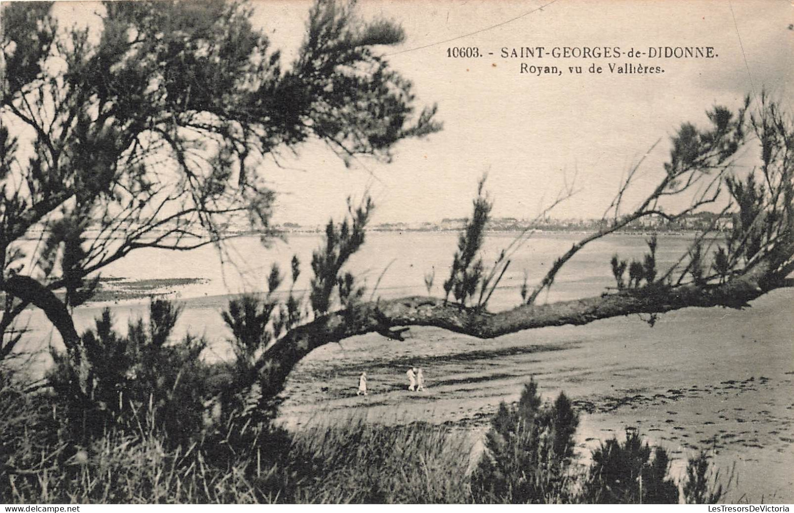 FRANCE - Saint Georges De Didonne - Royan - Vu De Vallières - Vue Générale - Carte Postale Ancienne - Saint-Georges-de-Didonne